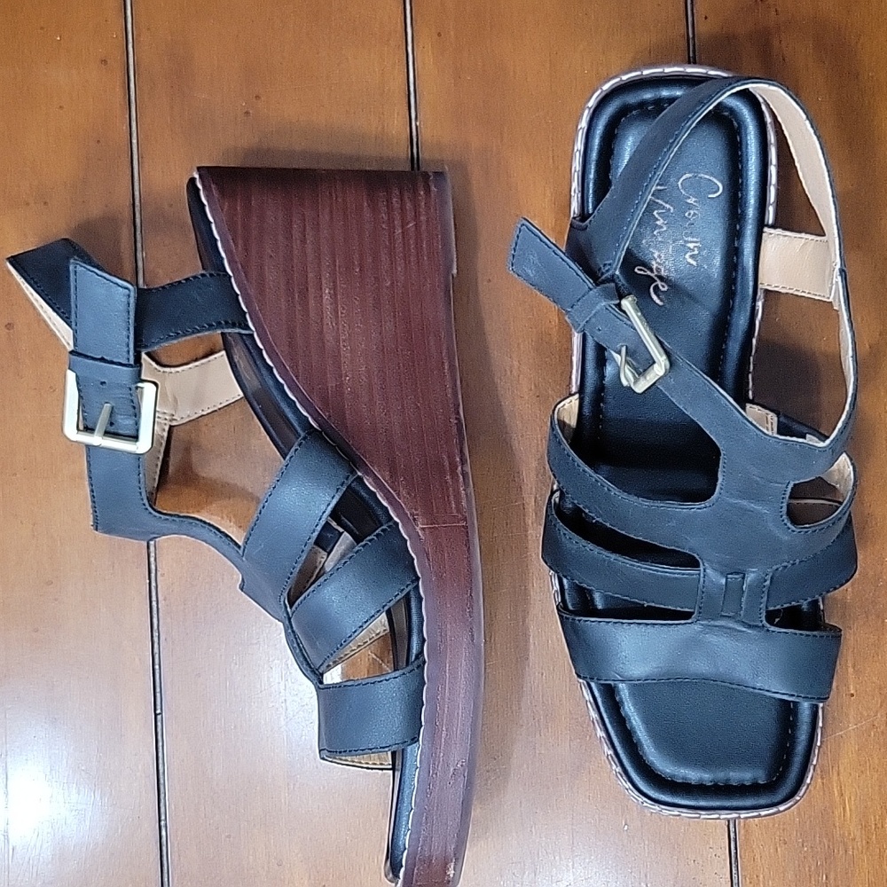 Black and brown wedge sandal
